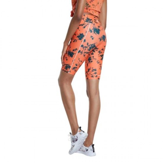 Colanti Desigual, L