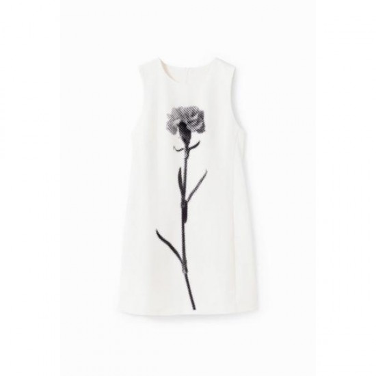 Rochie Desigual SHASTA, XL